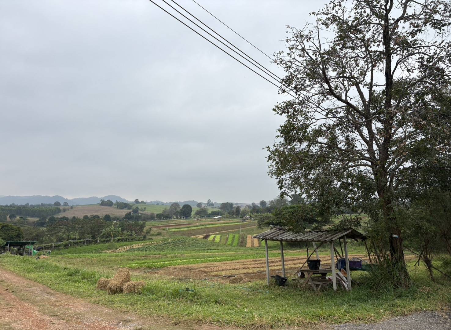 title - ส.ป.ก. ร่วมงาน เทศกาลผักอินทรีย์และของดีวังน้ำเขียว ครั้งที่ 5